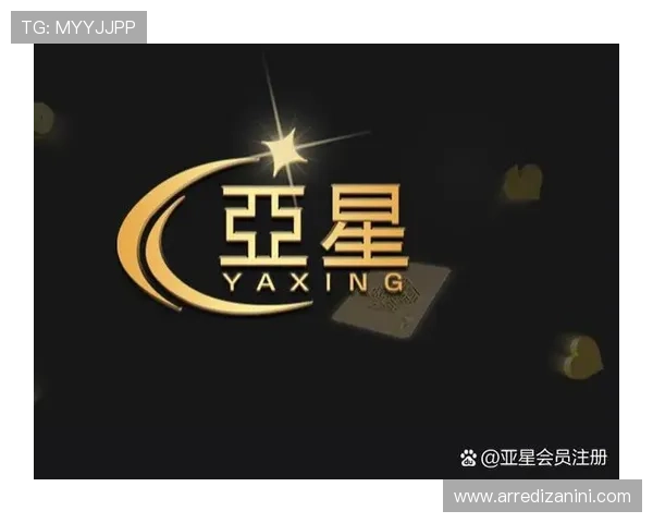 亚星娱乐官方登录入口网站安全登录技巧及账号保护措施介绍